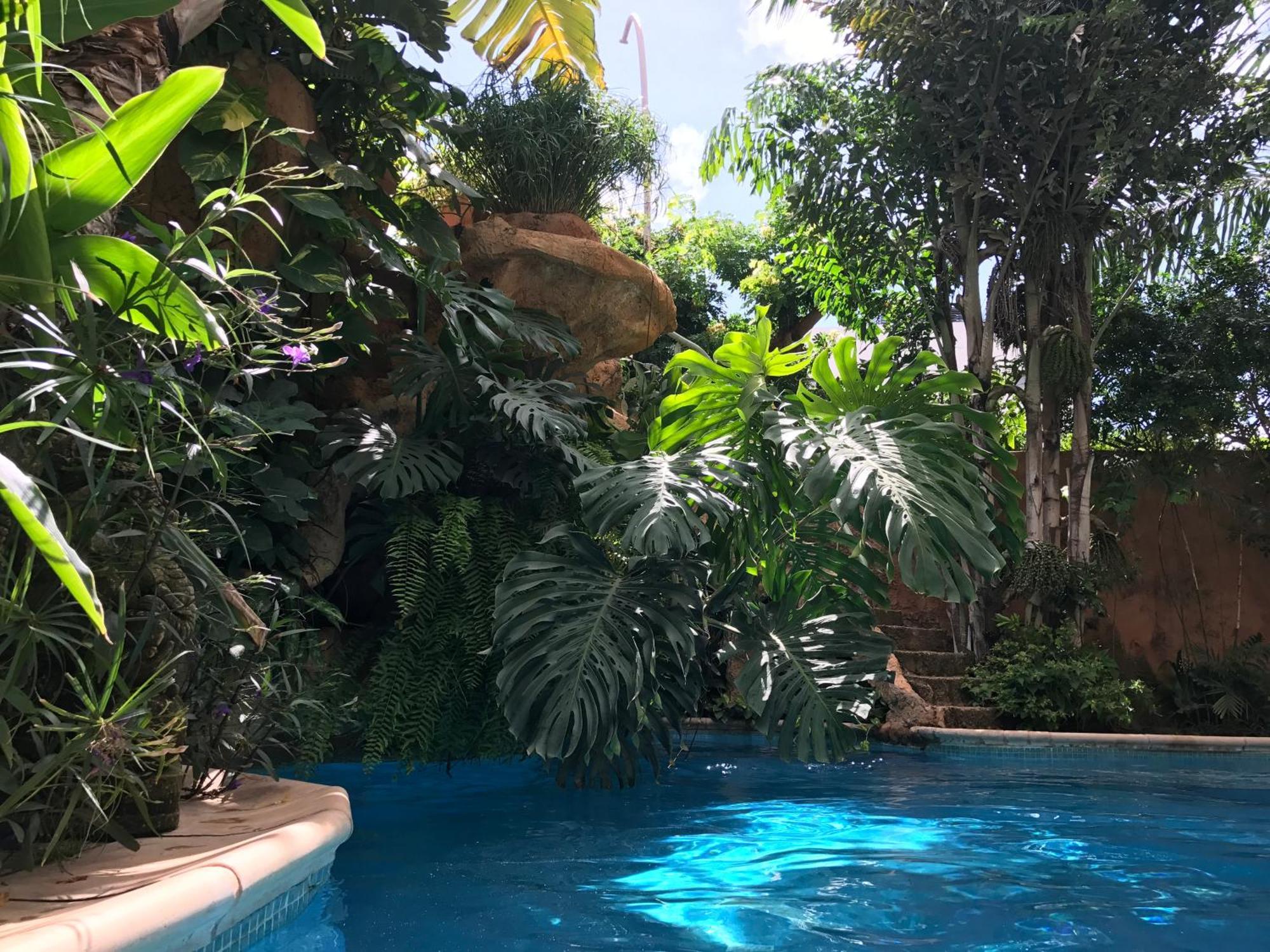 Tropical Oasis Apartment Ouakam Luaran gambar