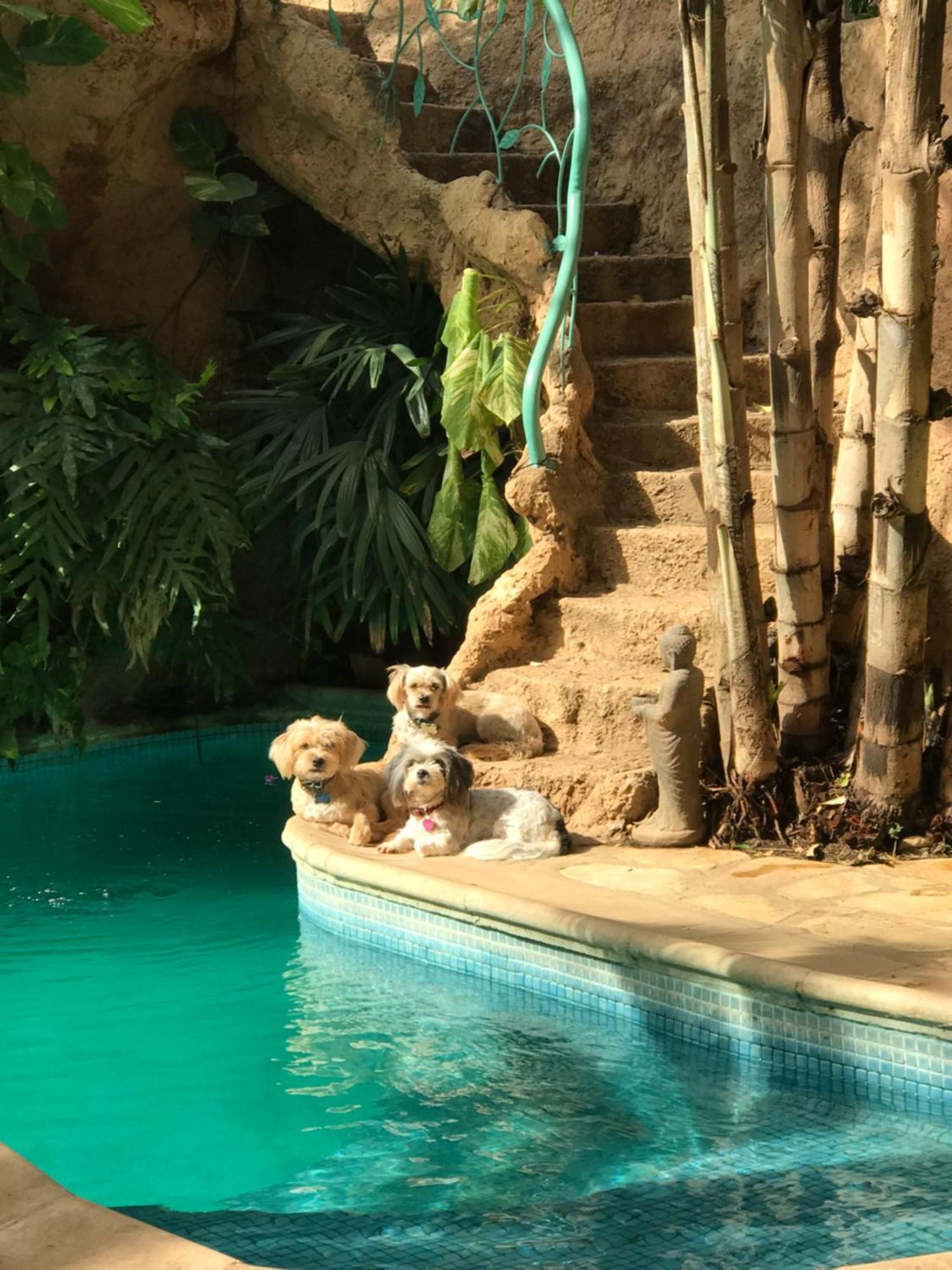 Tropical Oasis Apartment Ouakam Luaran gambar